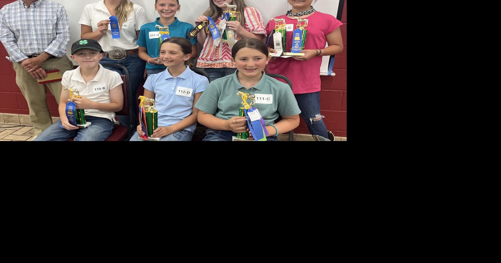 Local 4-H sweeps state horse judging championships