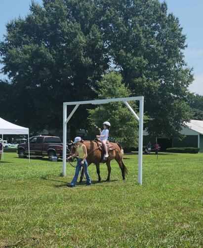 Jousters take part in annual fair tradition | Life | stardem.com