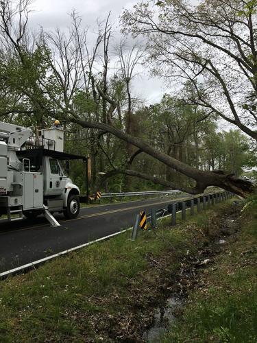 Wind gusts down power lines, trees | Local | stardem.com