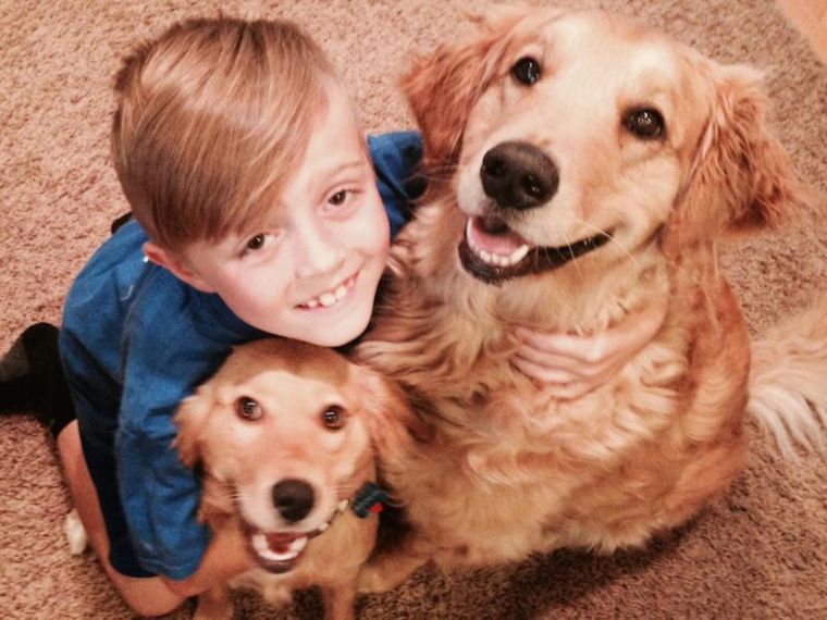 Boy's fundraiser rescues 10 dogs from kill shelters | Local | stardem.com