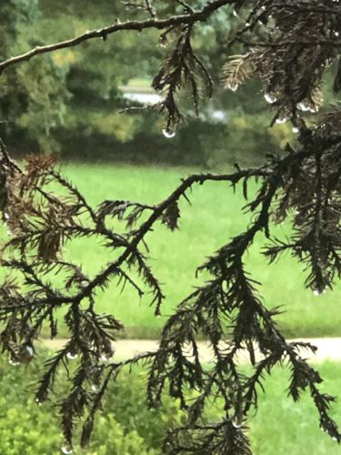 Remnants of Hurricane Delta bring rain storms to Eastern Shore | Local ...