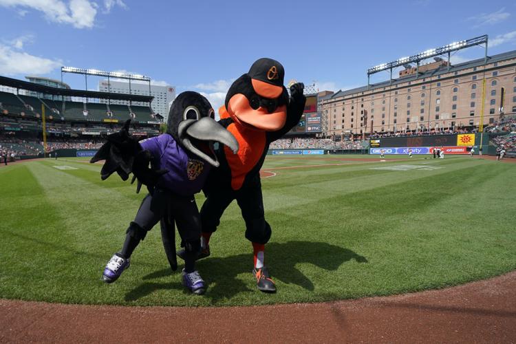 Baltimore Ravens Archives - Mascot Books
