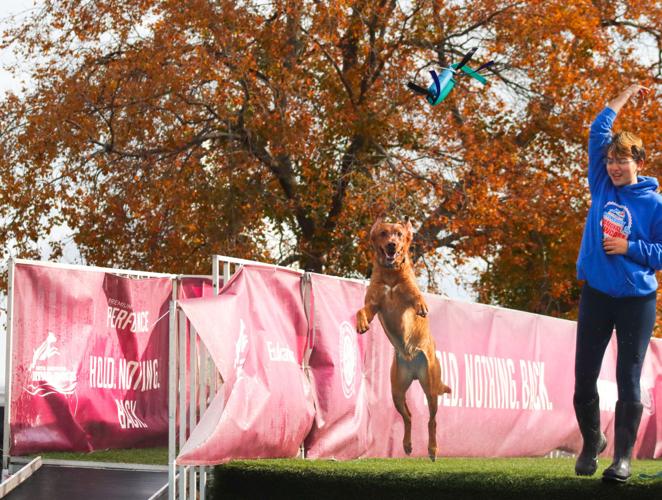 51st Waterfowl Festival offers something for everyone Local