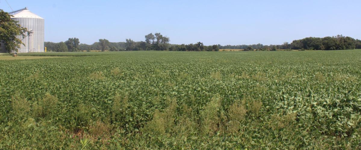 Lakeside at Trappe development is finally coming Local