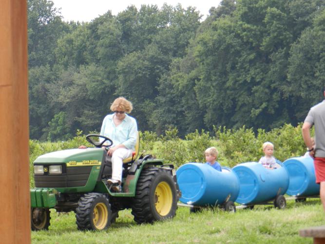 Peaches are star at Sudlersville Festival Local