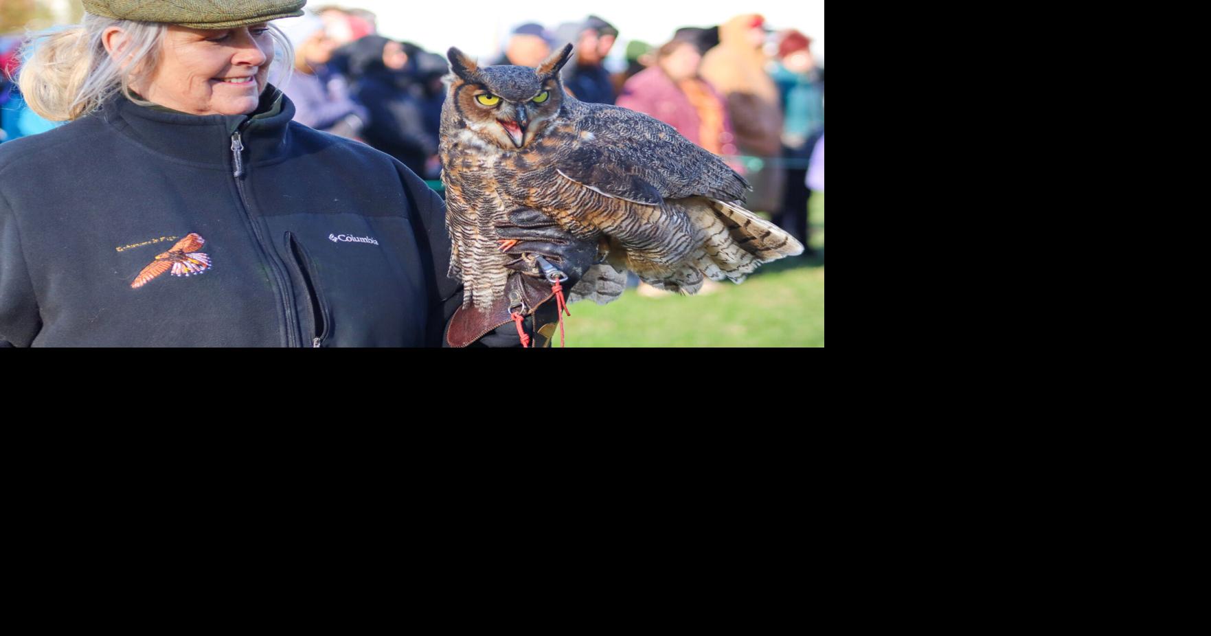 Raptor demos draw large crowds at Waterfowl | Local | stardem.com