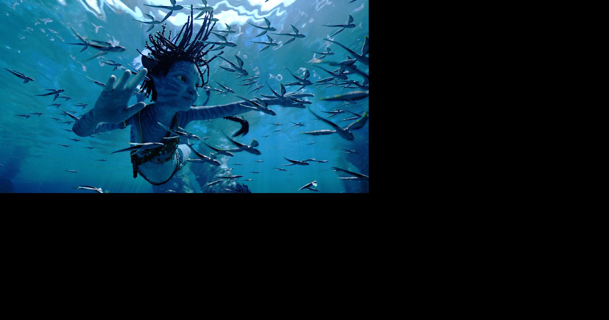 AP Top 25 Movies, ranking 2022's best: What made the cut?