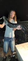 'They’re here to stay': Fishing for invasive but increasing entrenched snakeheads