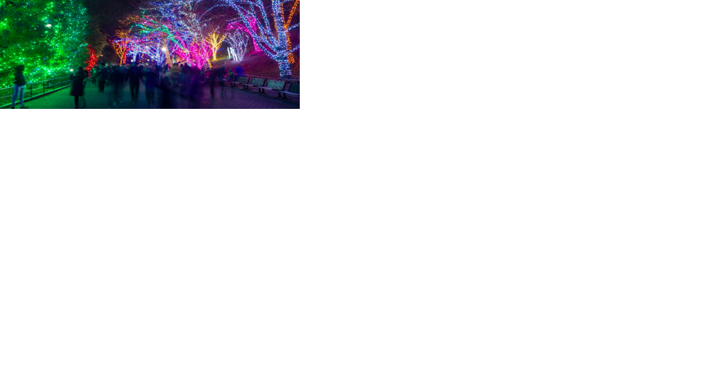 ZooLights returns to Smithsonian's National Zoo | Entertainment - Vimarsana News