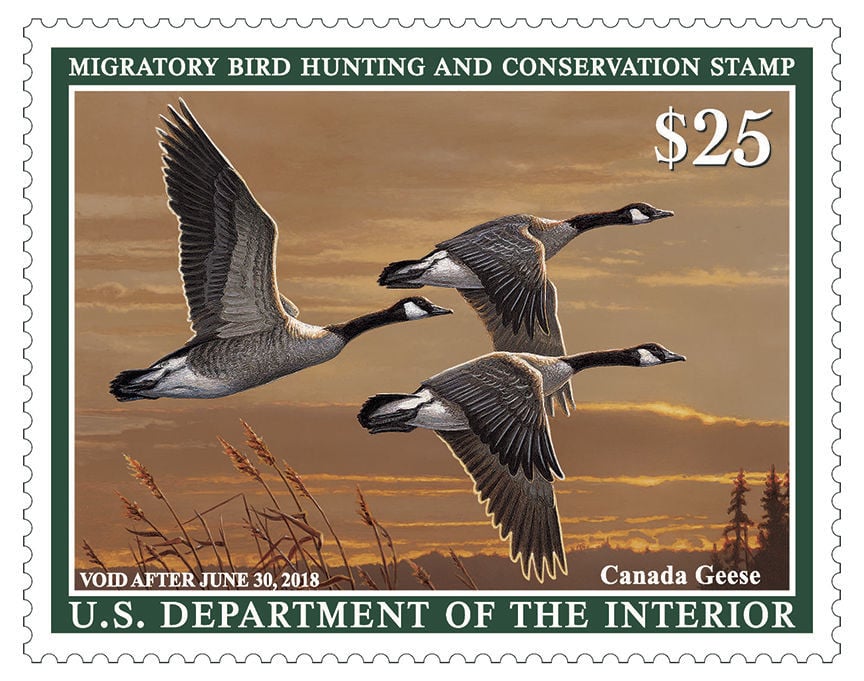 Duck Stamp program continues successful conservation goal Outdoors