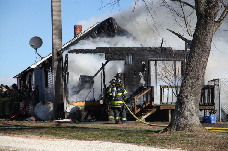 House fire kills 6 dogs in Cordova | Local | stardem.com