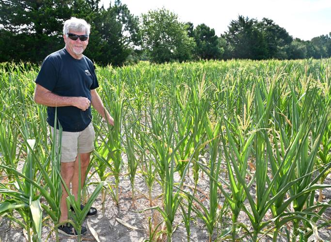 Drought Forces Farmers to Claim Insurance