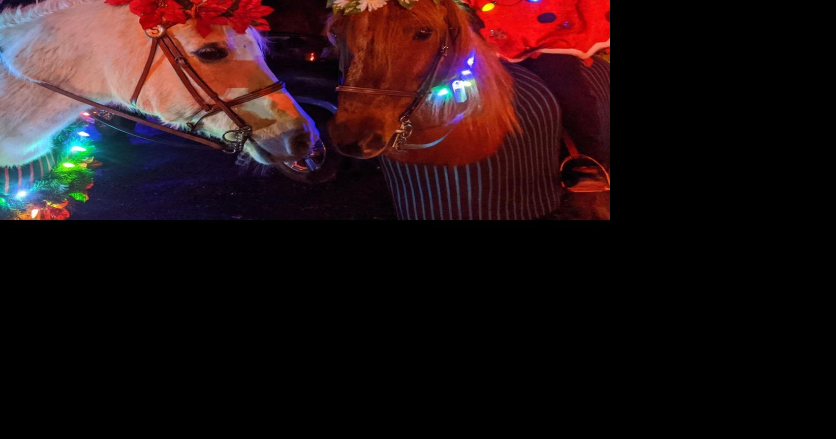 Greensboro visitors to Whoville with annual holiday parade