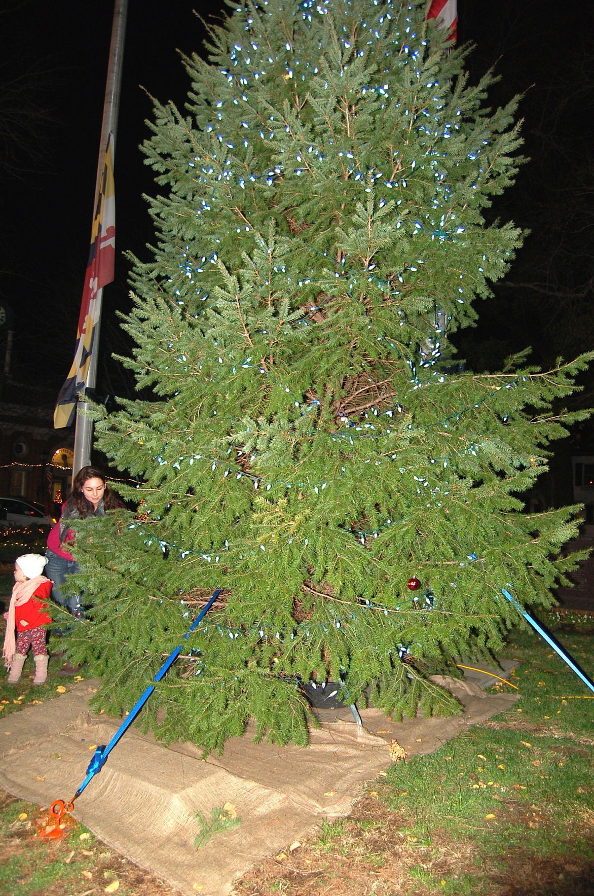 Centreville holds tree lighting before parade Local