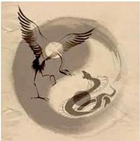 Introduction to Tai Chi, Qi Gong offered Monday