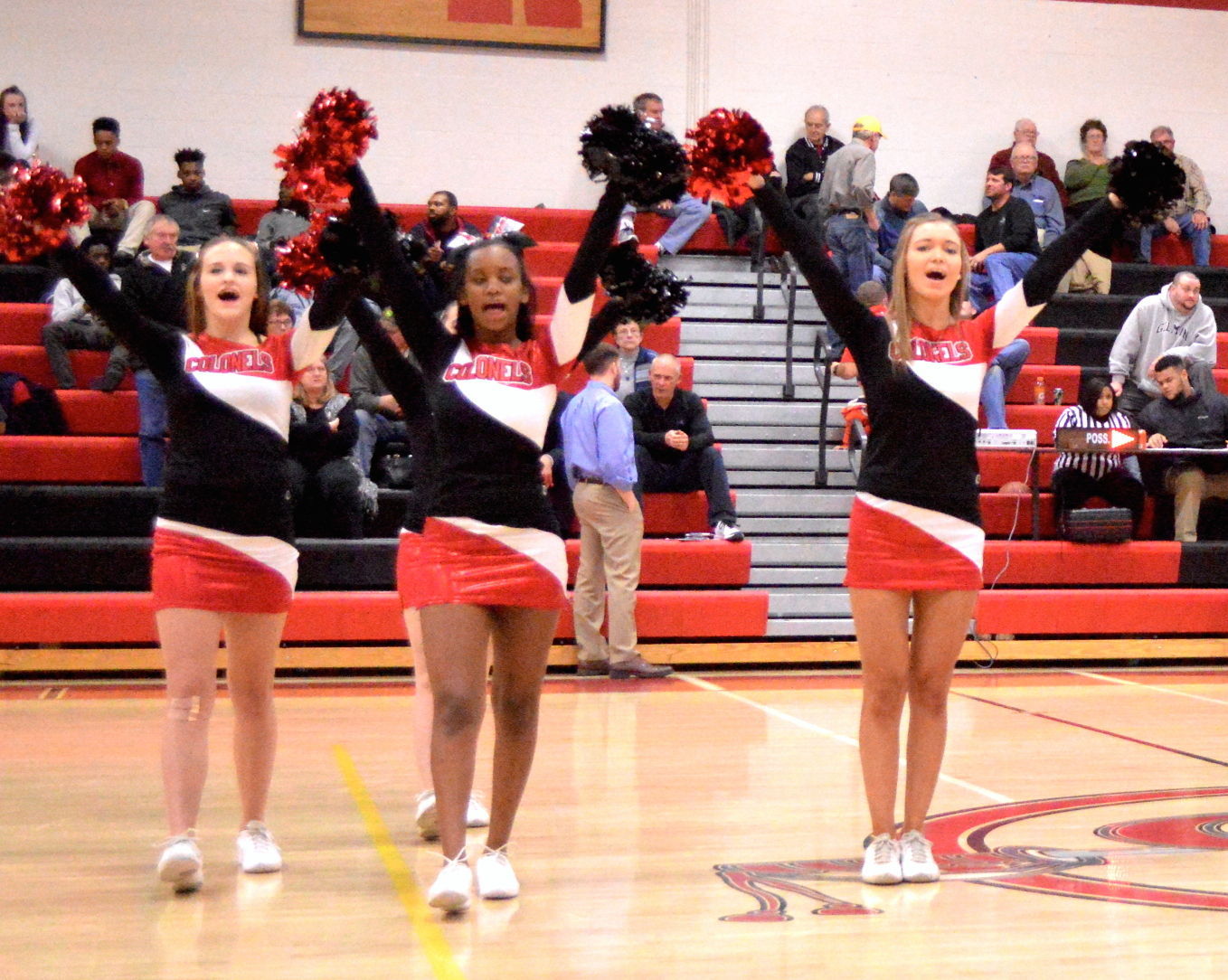 Photo Gallery: Colonel Richardson's Cheer Team Performs Jan. 14 