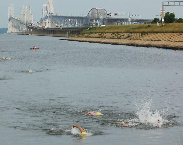 Chesapeake Bay Swim Photos
