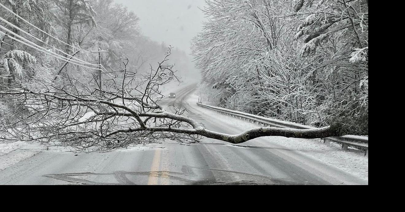 Downed trees, power lines as Mid-Shore sees heavy snow and high winds ...