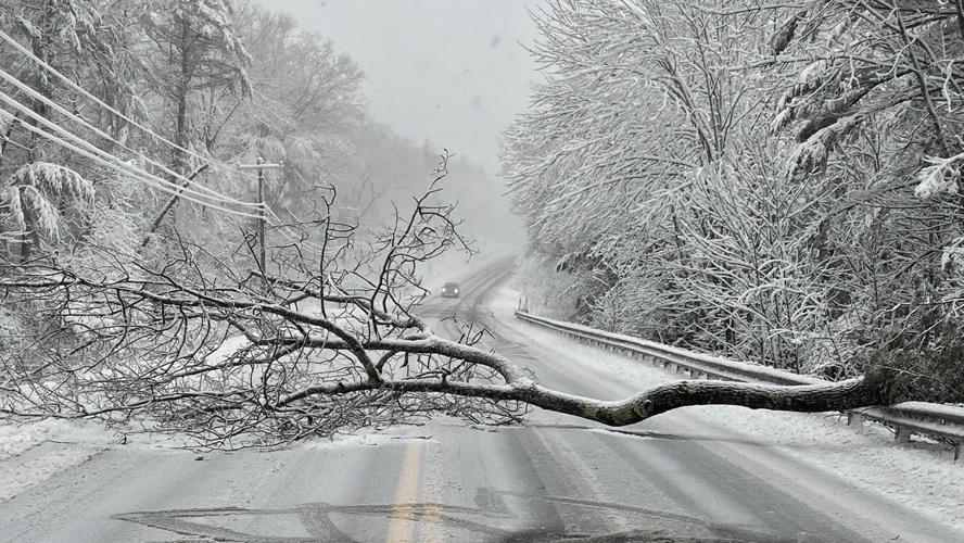 Downed trees, power lines as Mid-Shore sees heavy snow and high winds ...