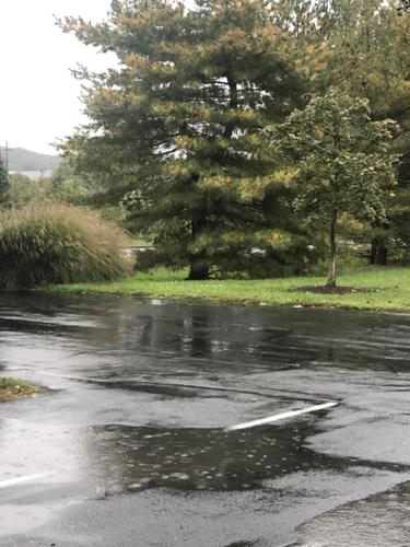 Remnants of Hurricane Delta bring rain storms to Eastern Shore | Local ...
