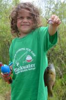 Blackwater Wildlife Refuge hosting youth fishing event