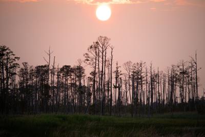 070925_dor_blackwater.jpg