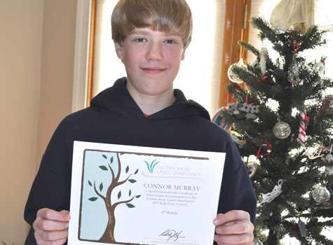 Aaliyah funko pop hot topic image