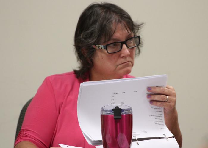 Sudlersville explores options to finance sewer Local