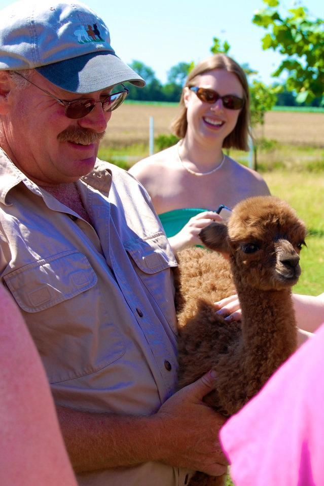 Outstanding Dreams Farm to host Alpaca Festival Arts