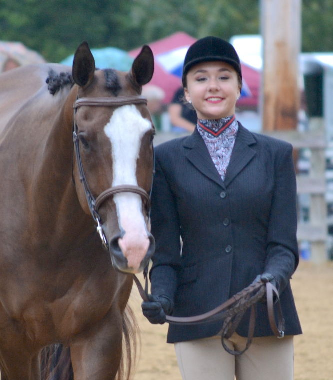 English Horse Show at Queen Anne's fair Photos