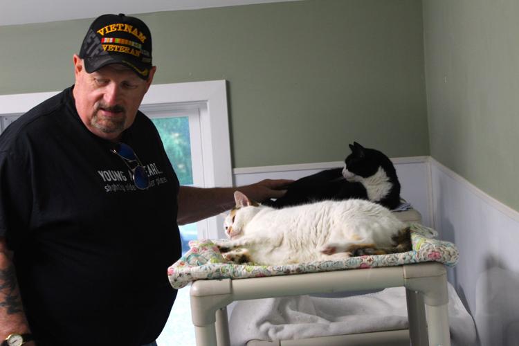 Chesapeake Cats and Dogs hosts flealess fundraiser Local