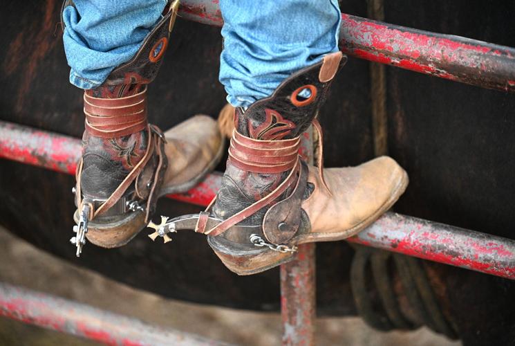 Rodeo draws hundreds in Greensboro Local
