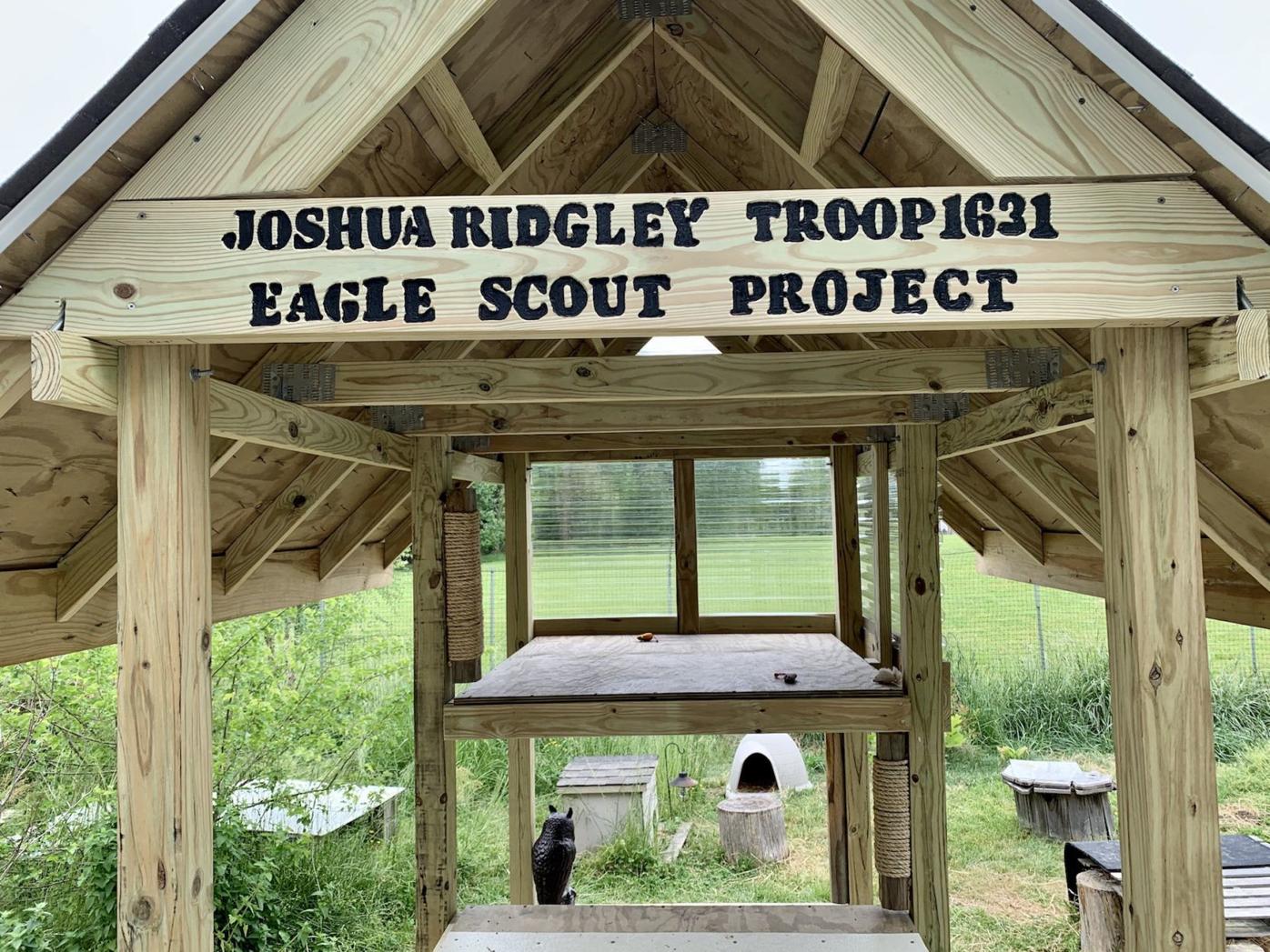 Scout builds feral cat shelter for Eagle project Emergency Notice