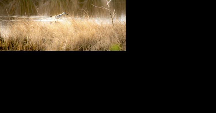 Legislation moves forward to create Chesapeake National Recreation Area - Vimarsana News