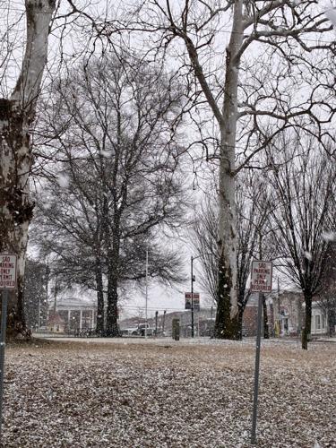 Snow Denton