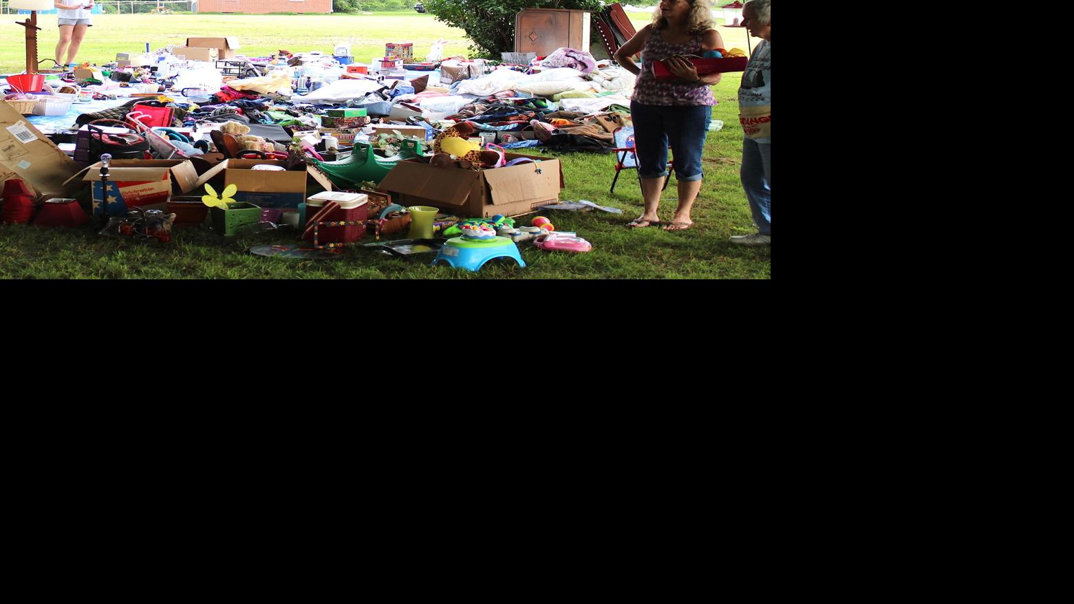 Chesapeake Cats And Dogs Hosts Flea Less Fundraiser Spotlight