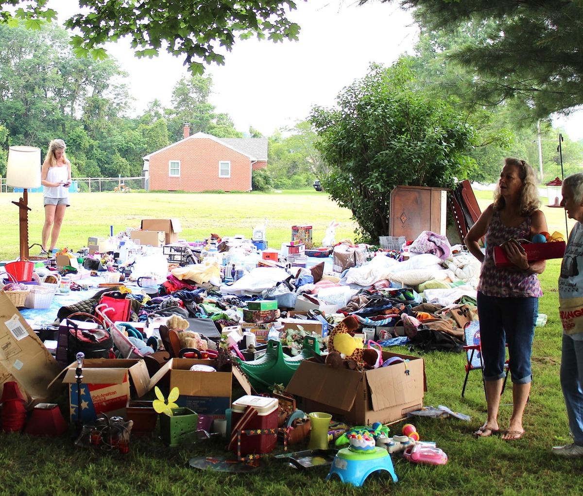 Chesapeake Cats And Dogs Hosts Flea Less Fundraiser Spotlight
