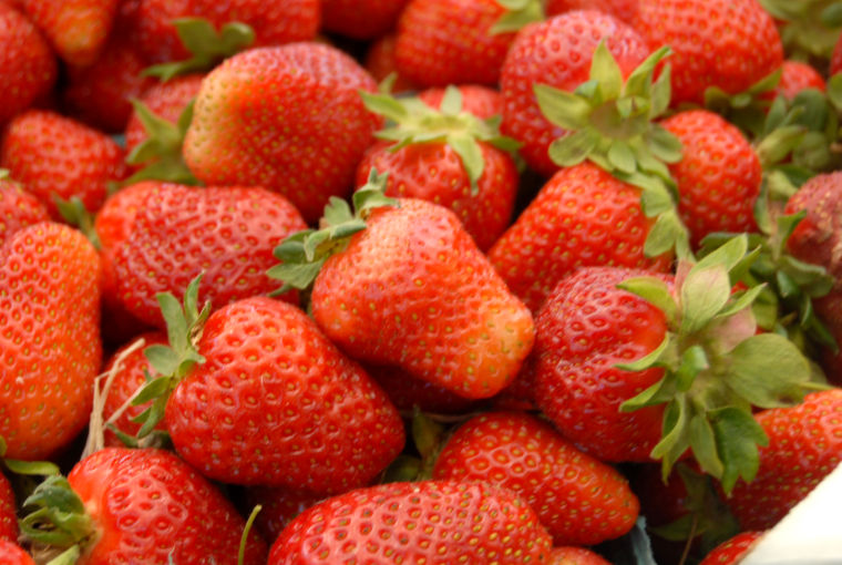 The 34th annual Ridgely Strawberry Festival Photos