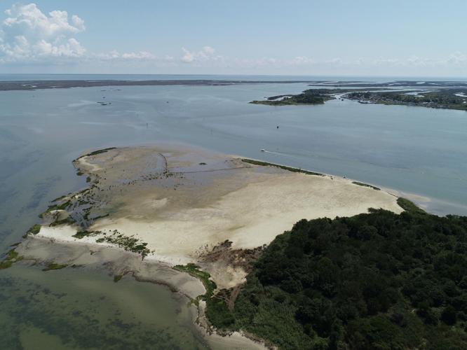 Swan Island 2019