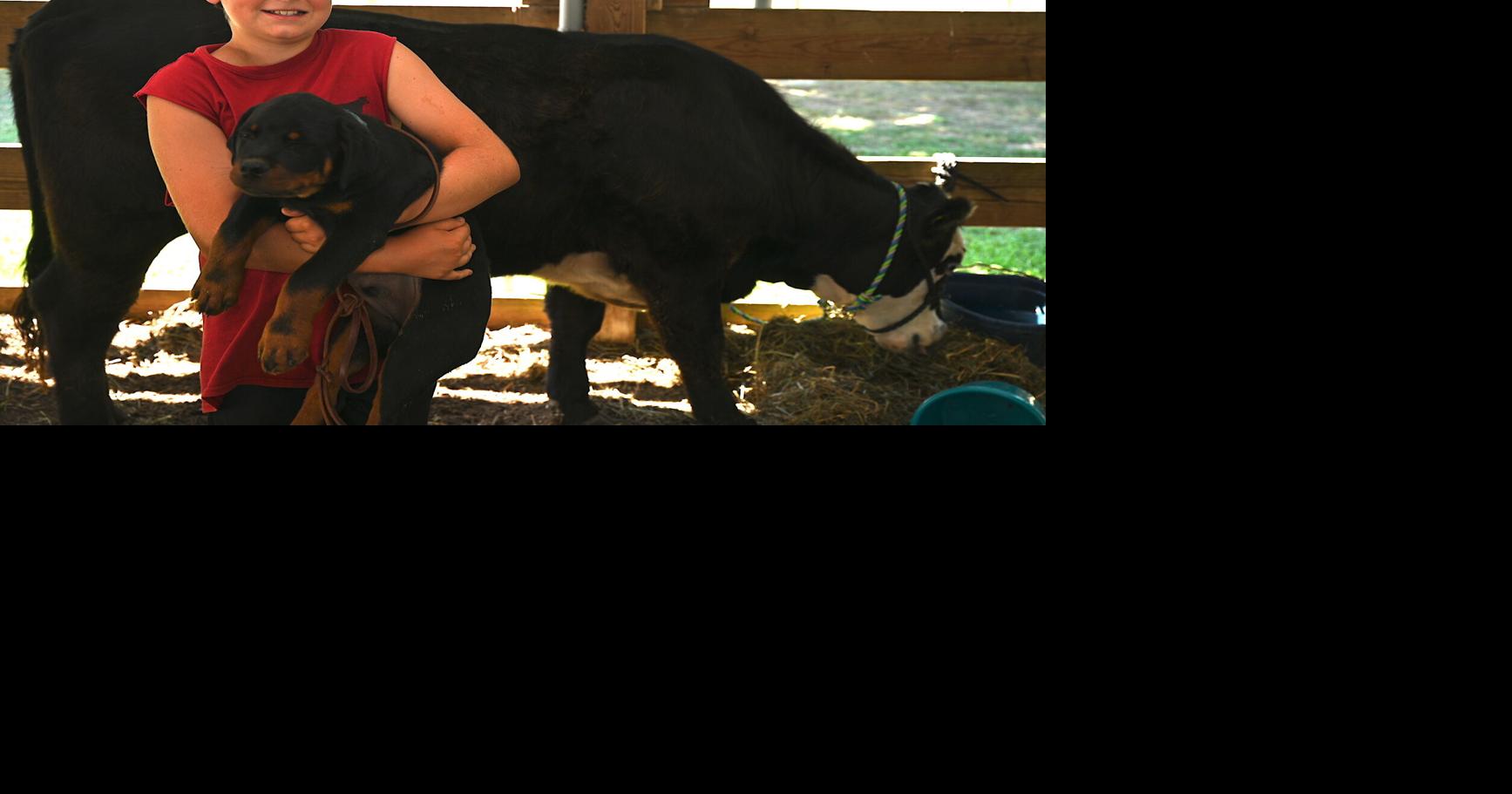 CarolineDorchester Fair to bring two counties worth of fun Local