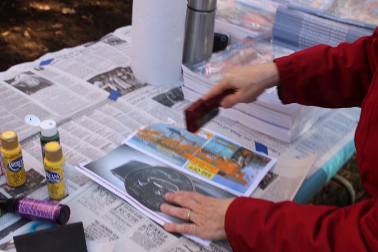 Reduce, reuse and recycle inspires Conservation Collage | Waterfowl ...