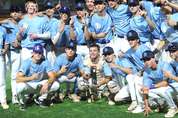 Stephen Decatur Baseball Lions get close but can't dethrone Decatur | Sports | stardem.com