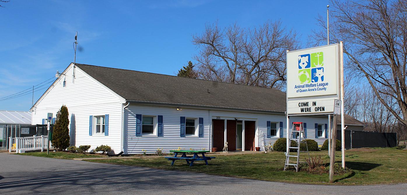 County takes shelter back from AWL | Local | stardem.com