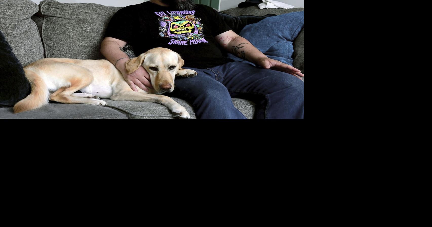 Carrier canine supports ease Frederick veteran’s anxiousness