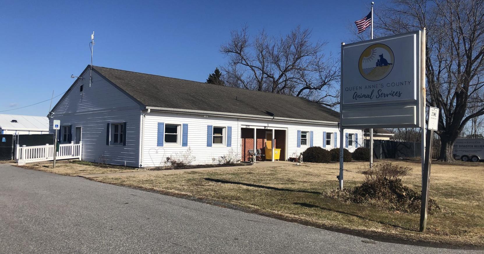 Queen Anne's County Animal Shelter seeing success - Vimarsana News