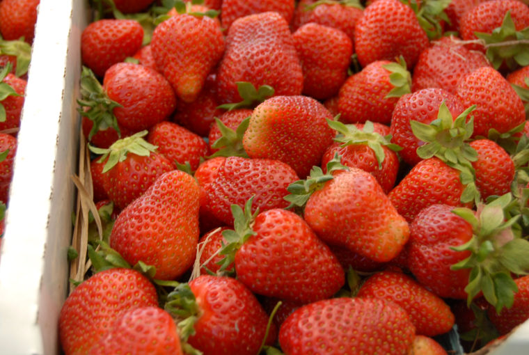 The 34th annual Ridgely Strawberry Festival Photos