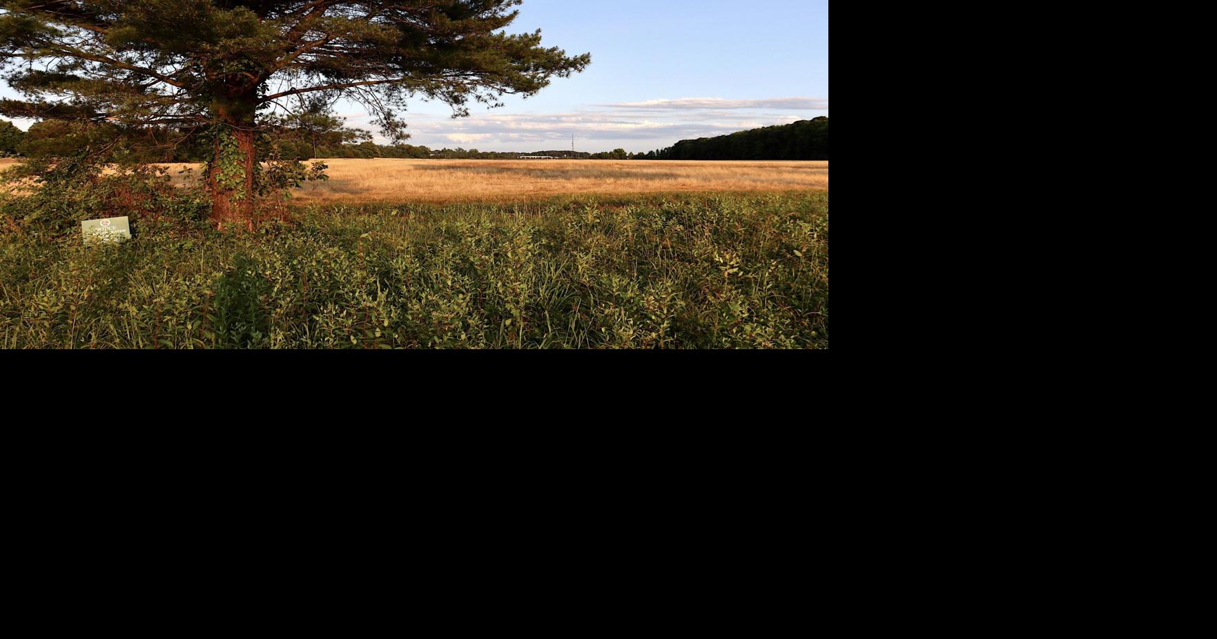 Talbot County Council approves purchase of Poplar Hill Farm | Local ...
