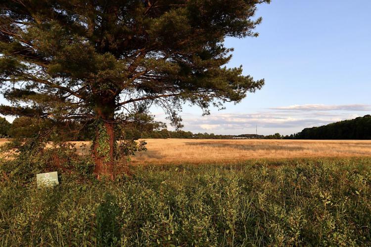 Talbot County Council approves purchase of Poplar Hill Farm Local