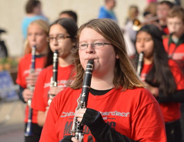 Photo Gallery Federalsburg Veterans Parade Life