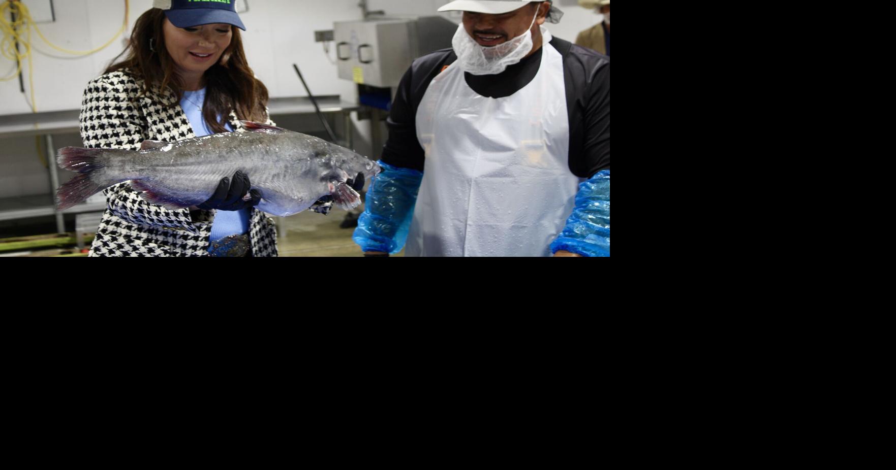 USDA secretary, Andy Harris announce $6M in grants for blue catfish ...